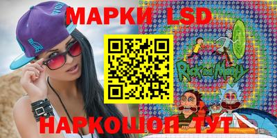 apvp Кингисепп