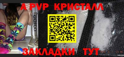 apvp Кингисепп