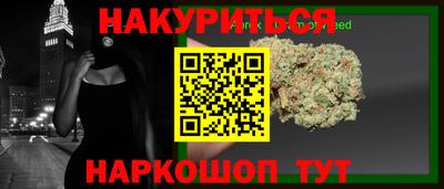apvp Кингисепп