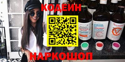 apvp Кингисепп
