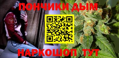 apvp Кингисепп
