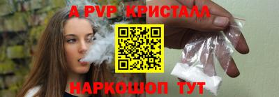 apvp Кингисепп